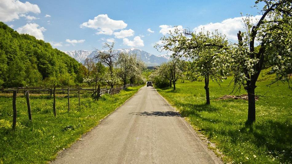 Вилла Къща за гости Край реките Априлци Экстерьер фото